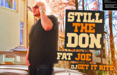 Fat Joe Don 119